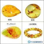 琥珀の見分け方 宝石琥珀、コパール、練り琥珀、ガラス、アンブロイドなど